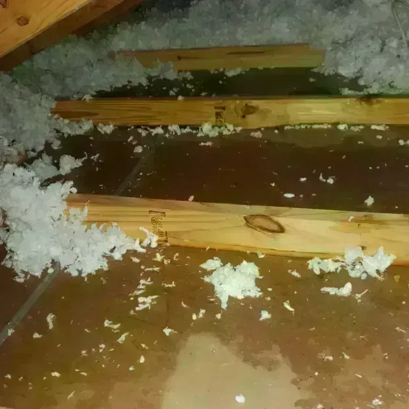 Attic Water Damage in Georgetown, TX