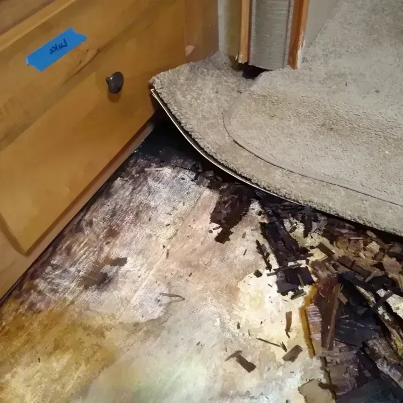 Wood Floor Water Damage in Georgetown, TX